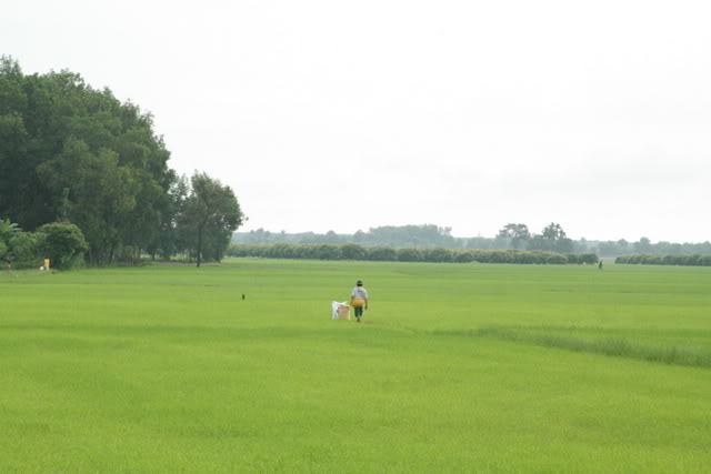 IMG_3795.jpg
