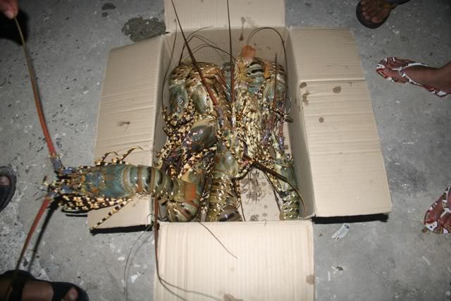 BinhBa110.jpg