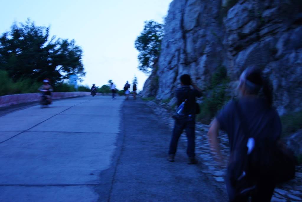 DSC05016.jpg