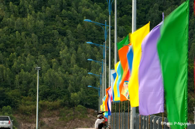 275.jpg
