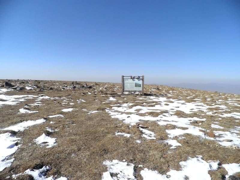 PA151570.jpg