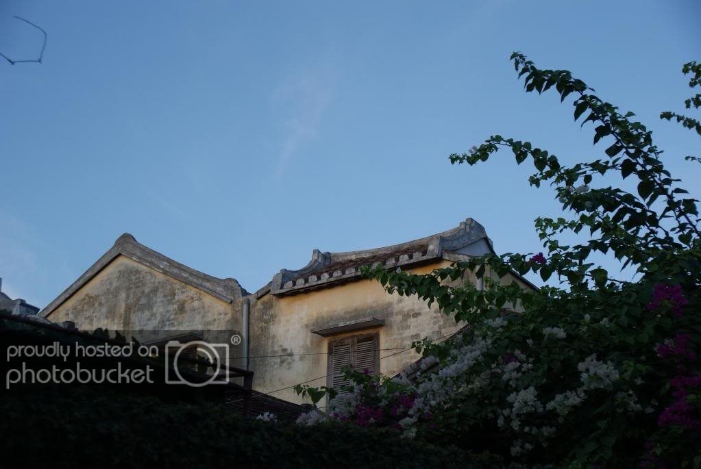 DSC01008-1.jpg