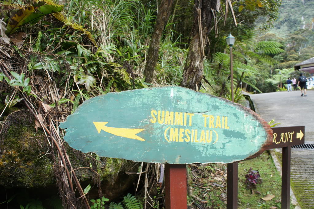 DSC04800.jpg