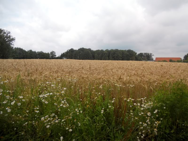 DSCN8759.jpg