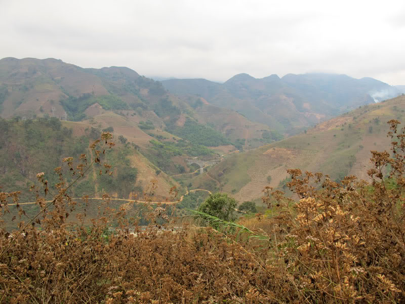 HongNgai2011789.jpg