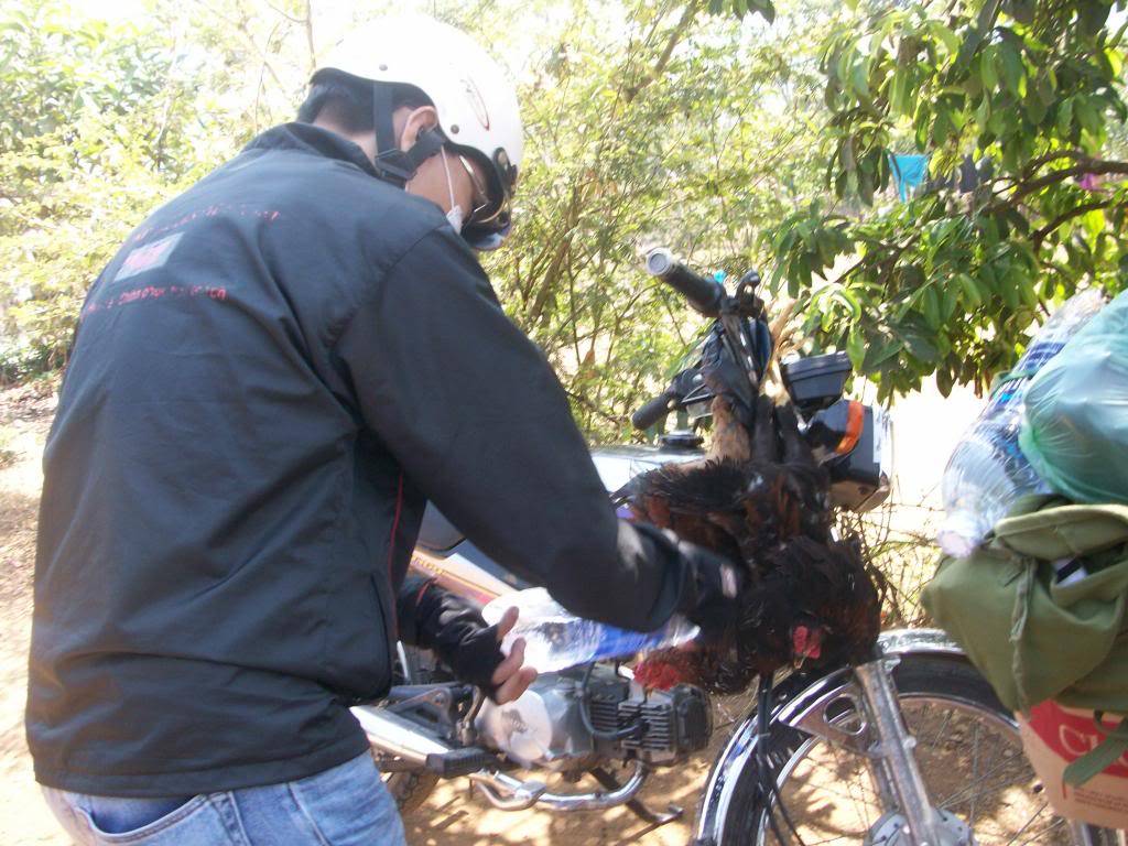 100_5097_zps70bca92b.jpg