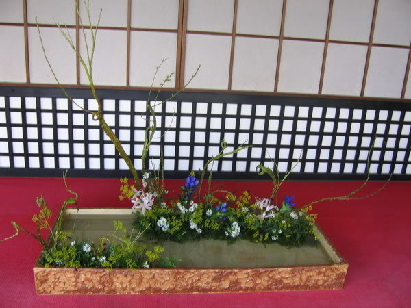 IMG_1274_resize.jpg