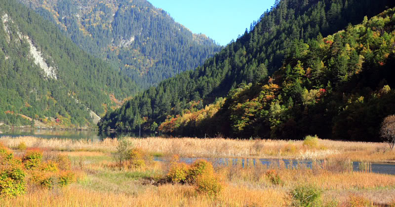 DPP_0164.jpg