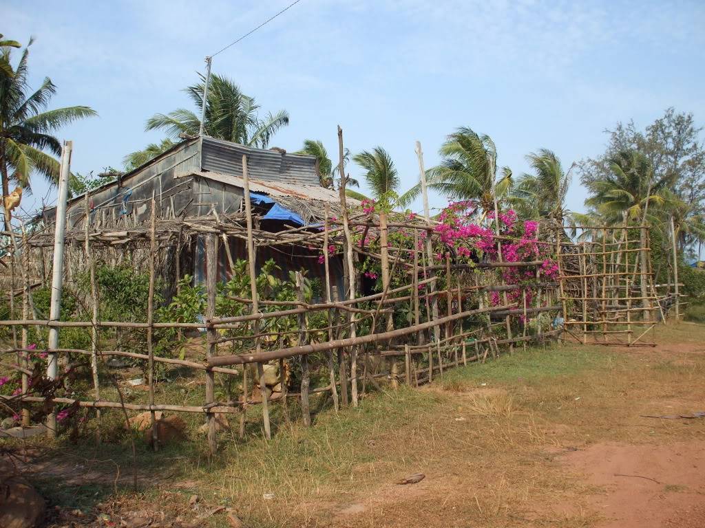 DSCF5049.jpg