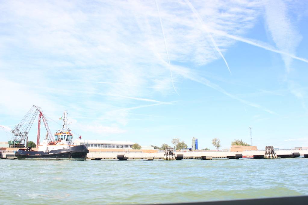 IMG_1398_zps435029ad.jpg