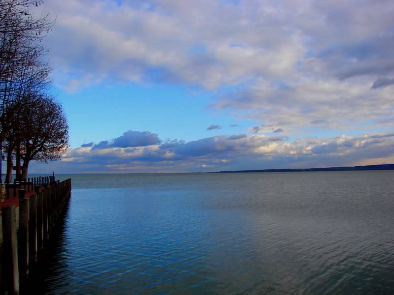 DSC01199e.jpg