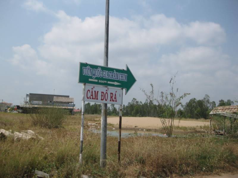 DongThapTET2011415.jpg