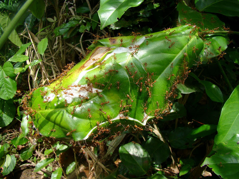 DSC08715.JPG
