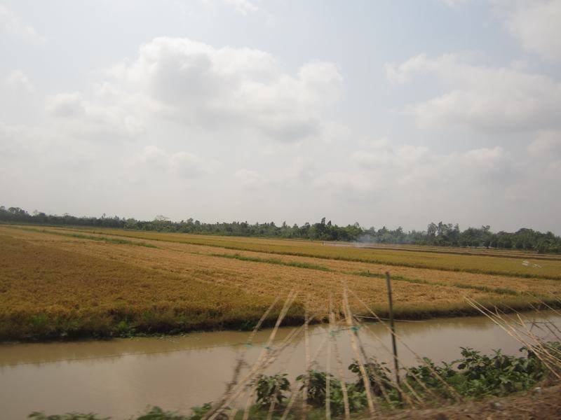 IMG_1079_zps03373dbd.jpg
