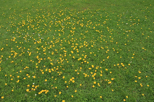 3697474962_9151796e35.jpg
