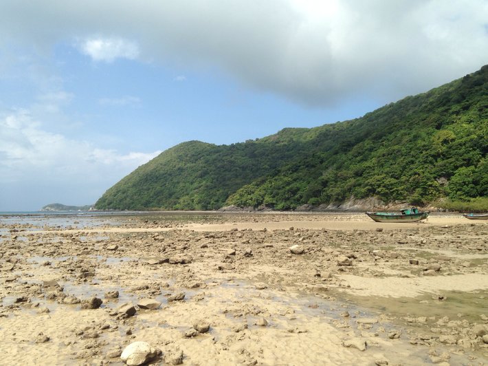image-jpg.169698