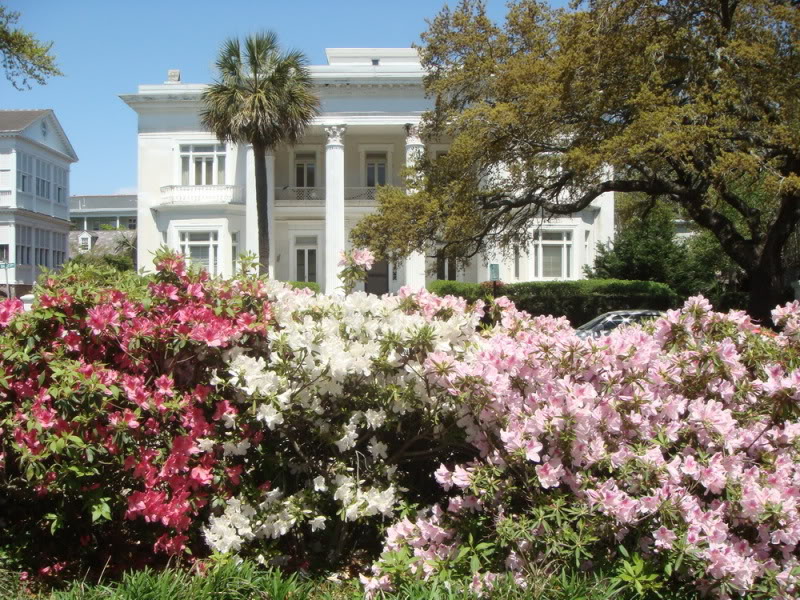 Charleston27.jpg