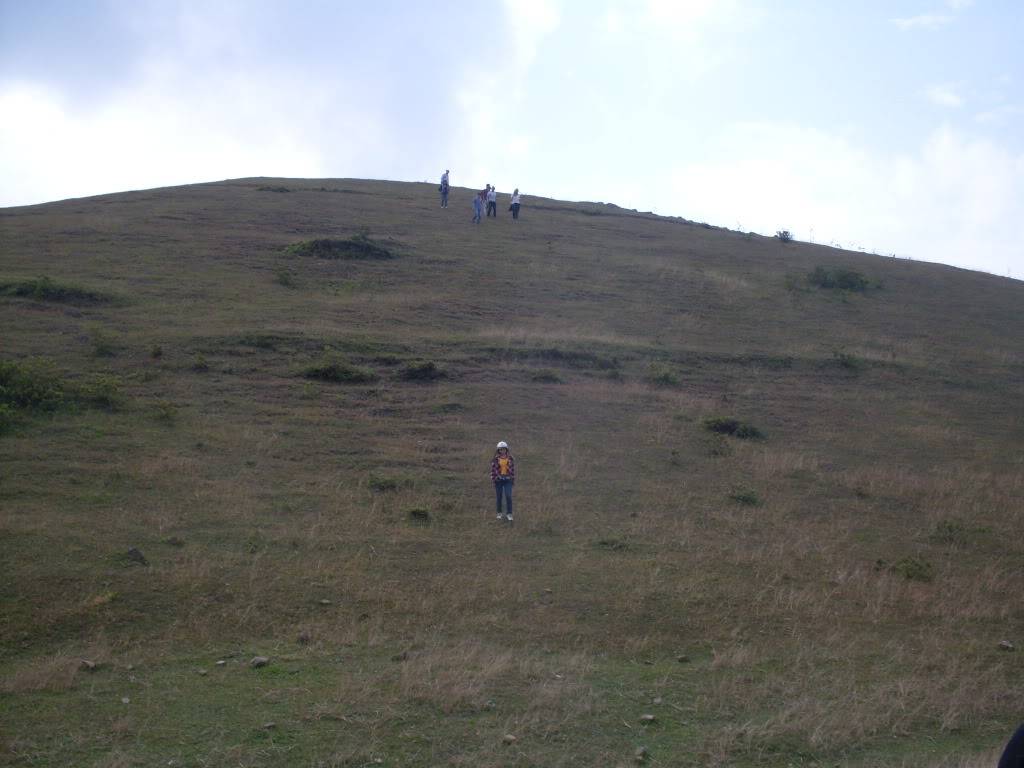 SDC10608-Copy.jpg