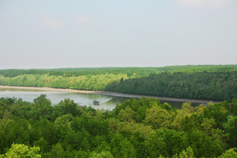 DSC_8749.JPG