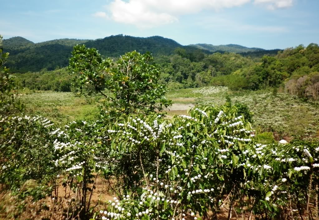 P1020136.jpg