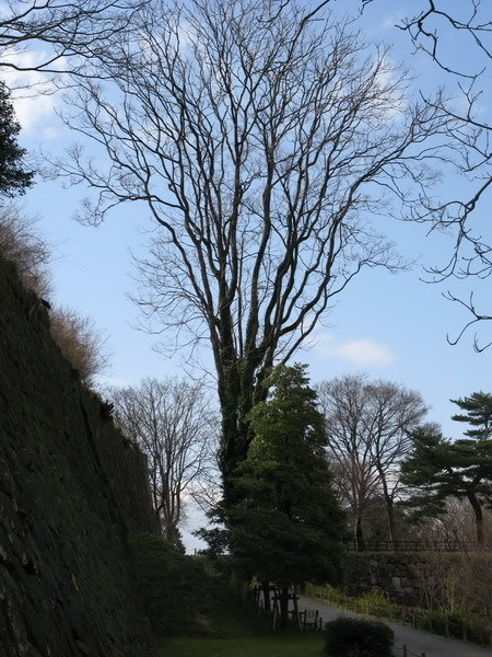 IMG_1740_resize.jpg