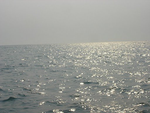 385619403.jpg