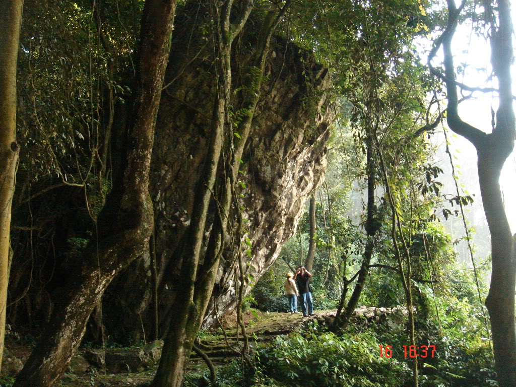 DSC01260.jpg