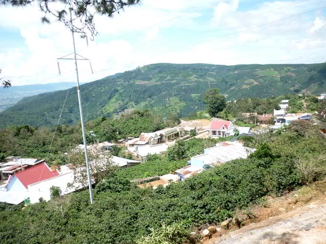 P1380120.jpg