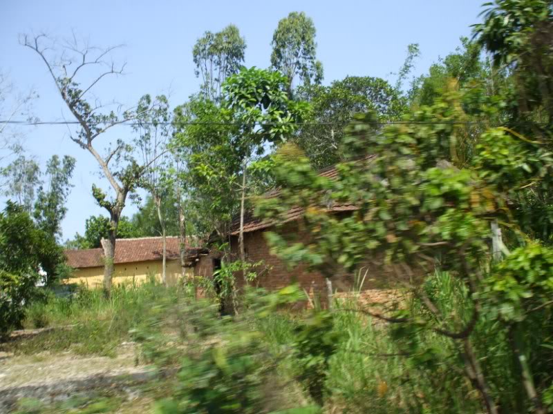 DSCF7269.jpg