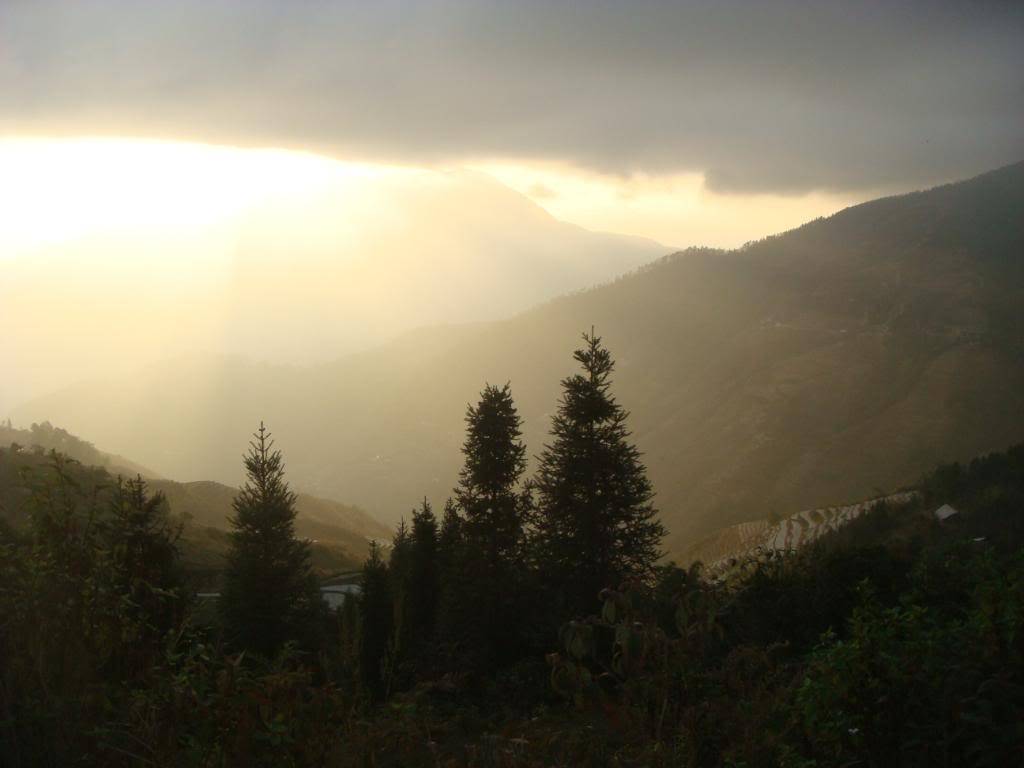 DSC06042.jpg
