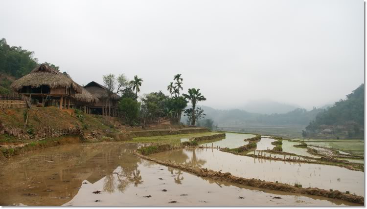 thanhhoa4of6.jpg