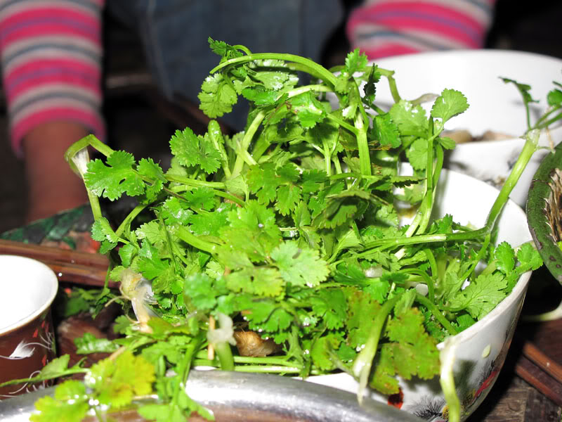 HongNgai2011669.jpg