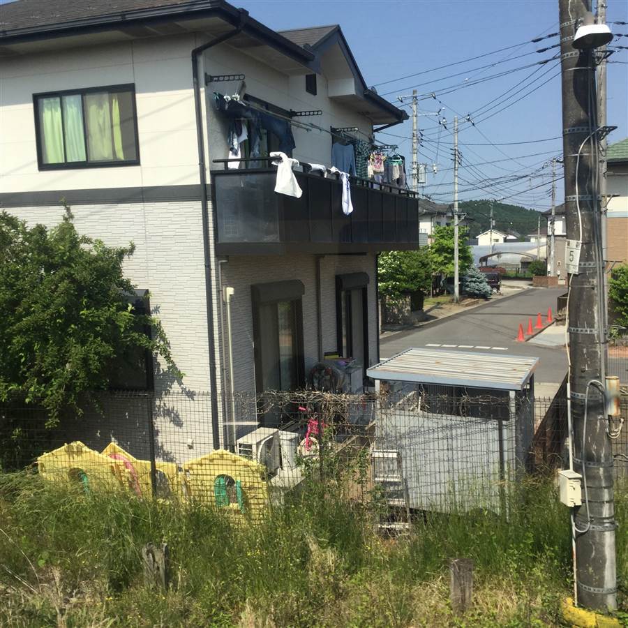 resized_IMG_9520_zpssbmtwn1o.jpg