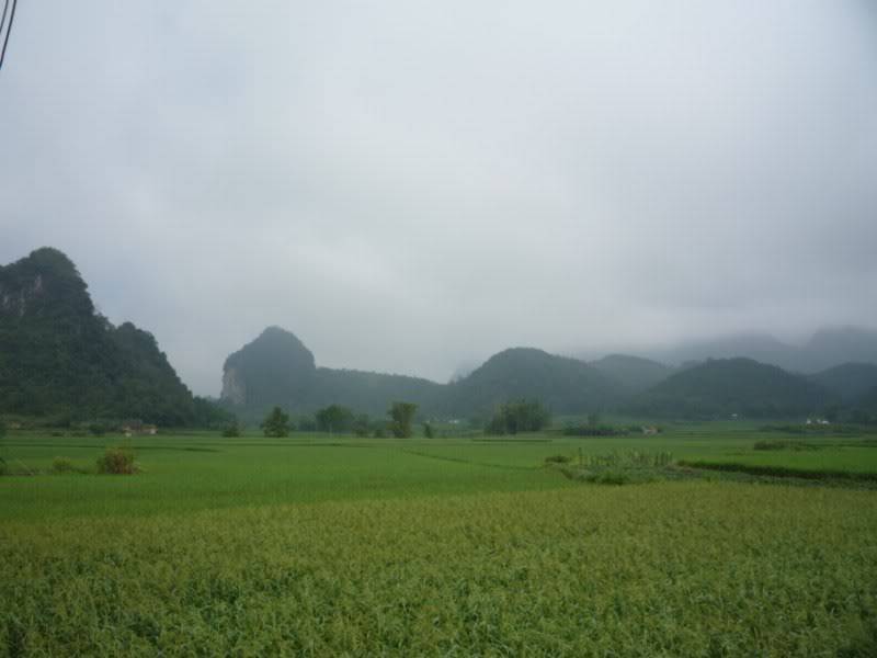 P1010847800x600.jpg