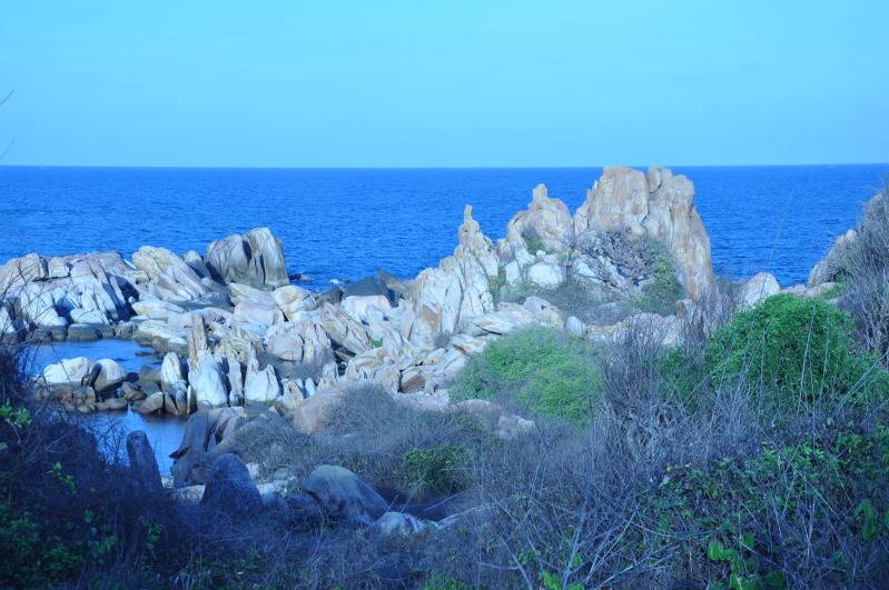 DSC_0305.jpg