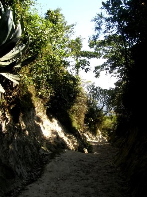 PB060891.jpg