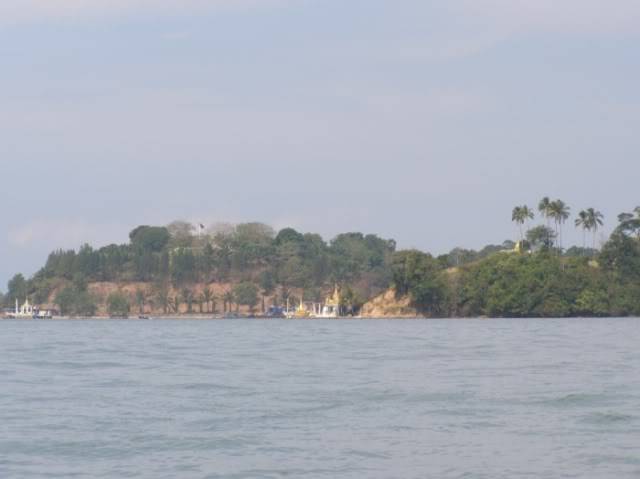 P3200135.jpg