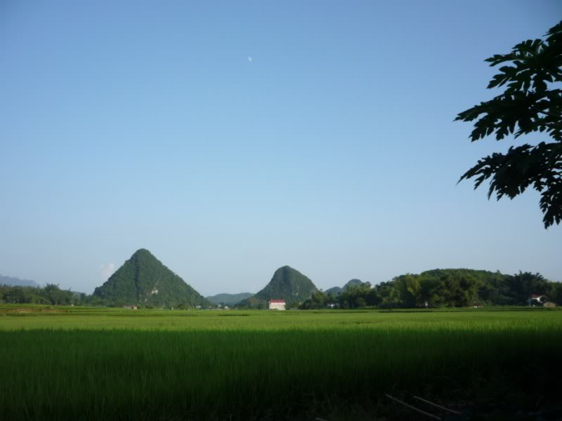 P1010766800x600.jpg