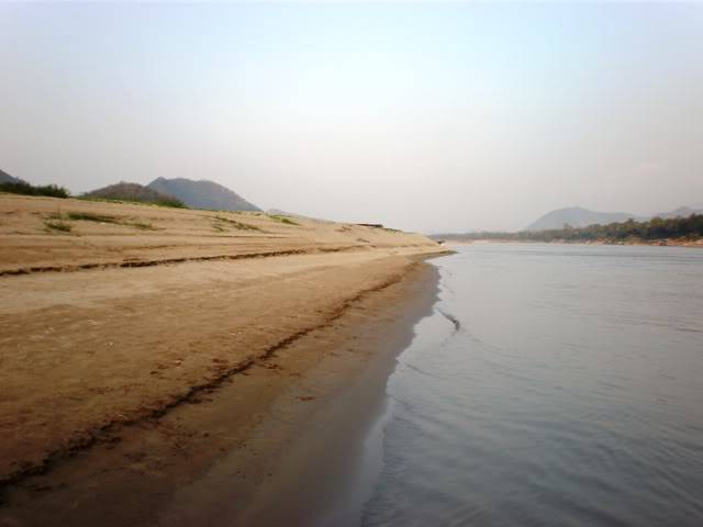 P2040580.jpg