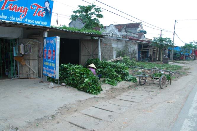 DSC_4092.jpg