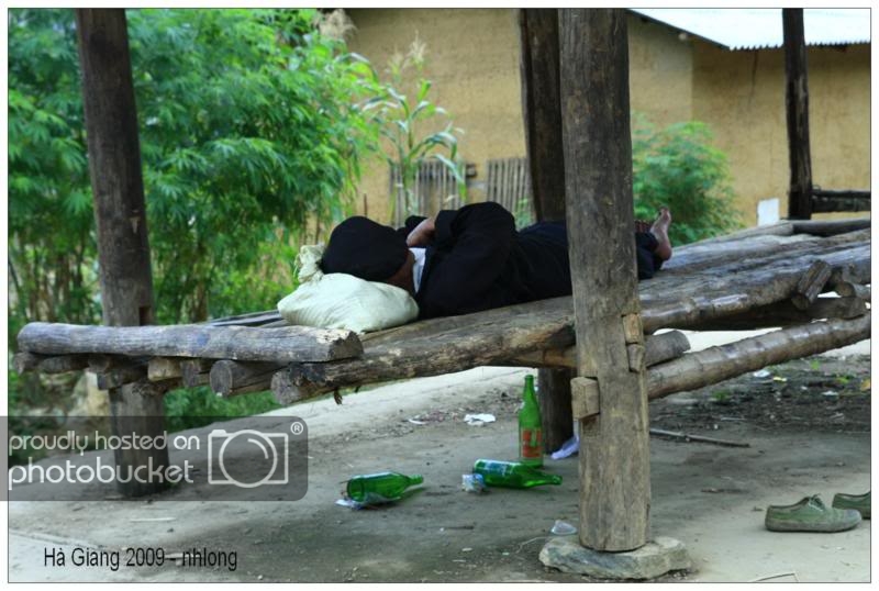 Sayreu2_800x538.jpg