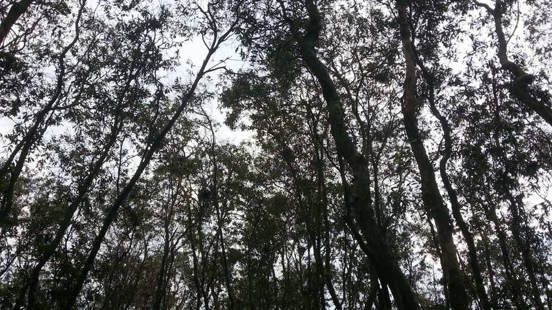 20121129_160115.jpg