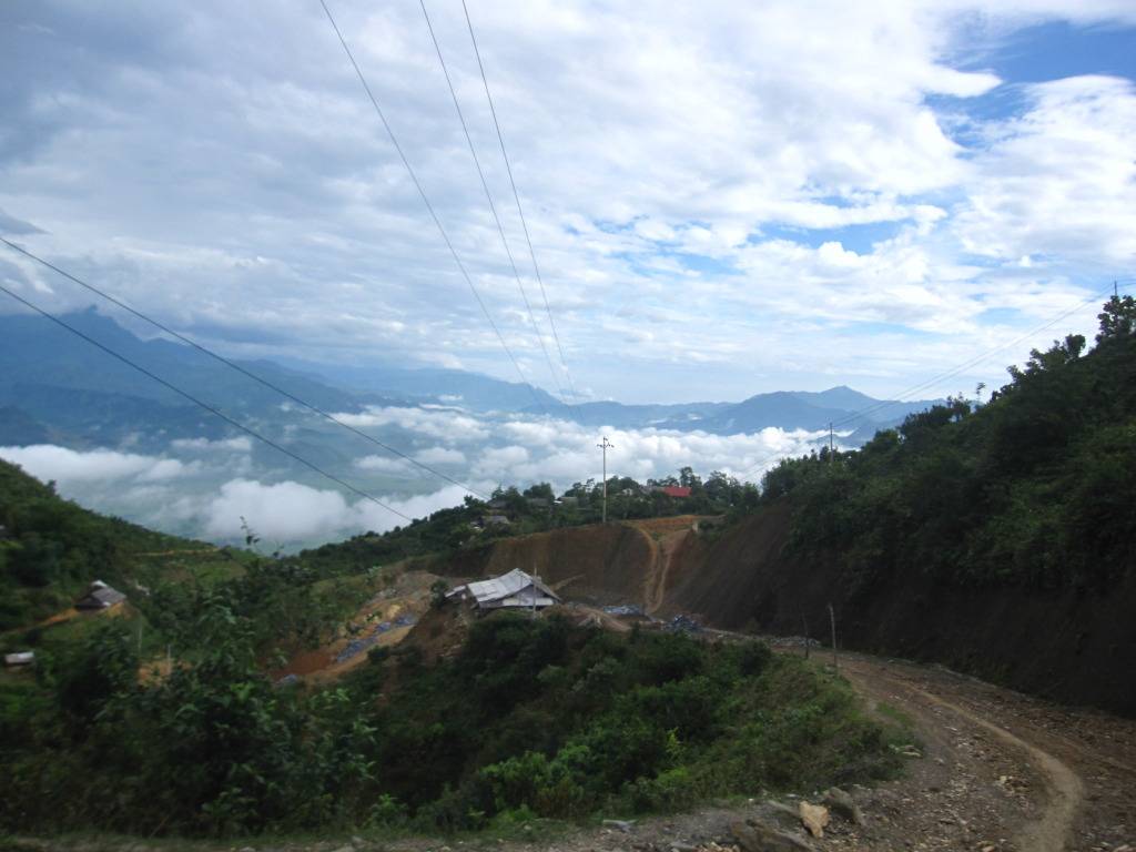 IMG_8479.jpg