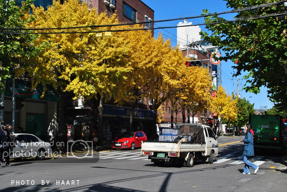 DSC_0377.jpg