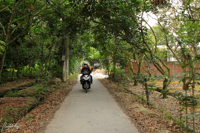 BenTre-7256.jpg