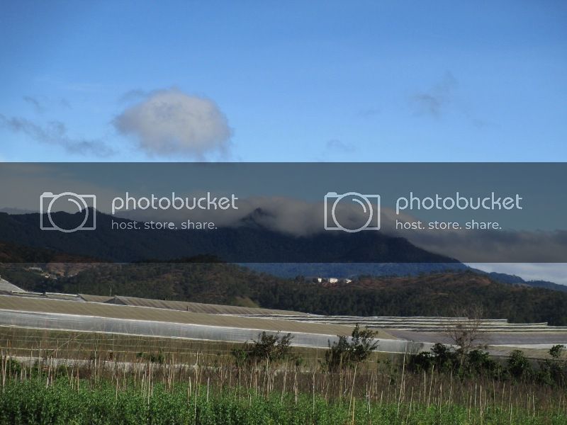 IMG_0369-Copy_zps098d48ef.jpg