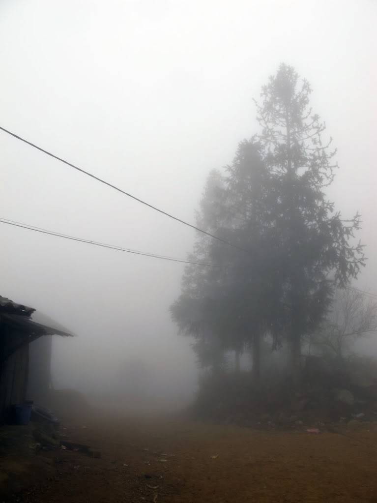 HongNgai2011257.jpg