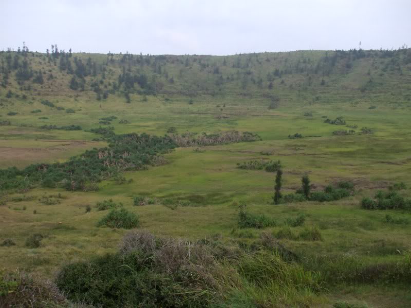 DSCF6854.jpg
