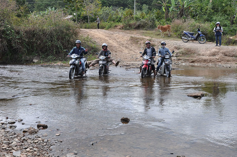 DSC_8890.jpg