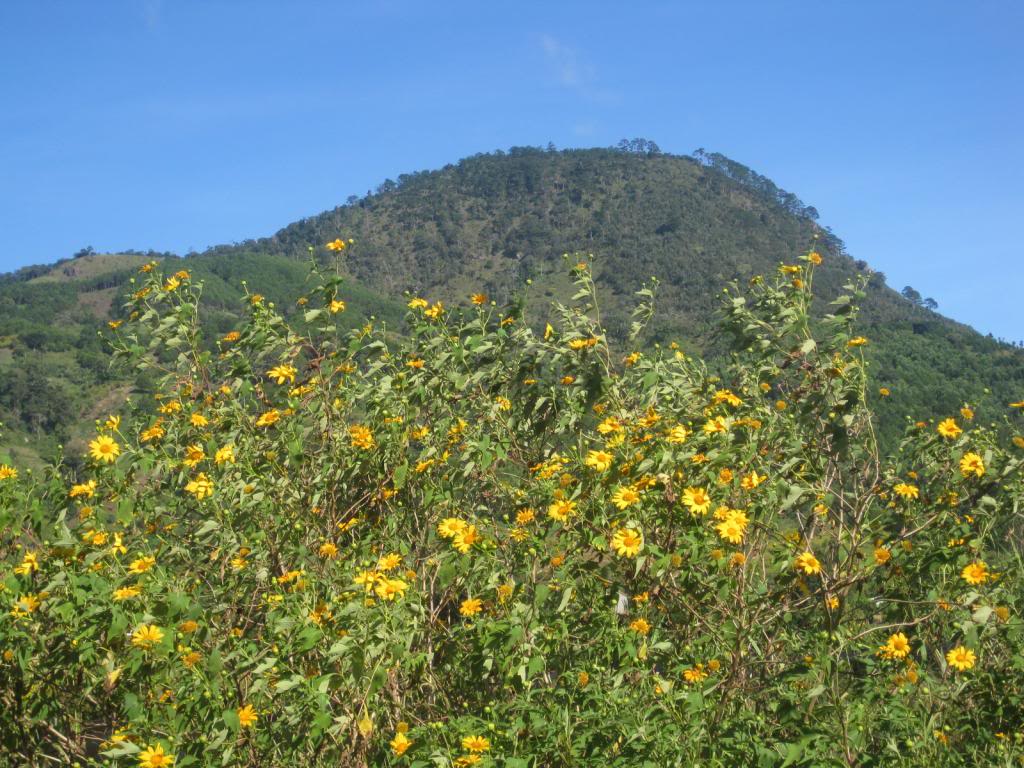 IMG_3730.jpg